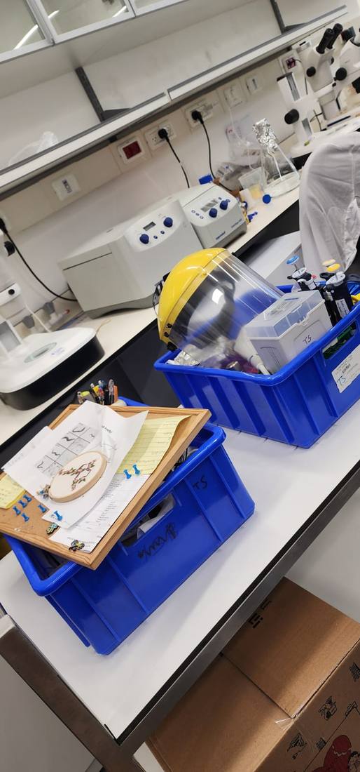 Setting up the Shpilka Lab