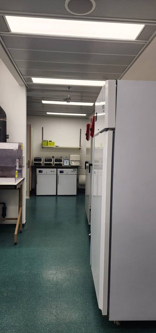 Setting up the Shpilka Lab