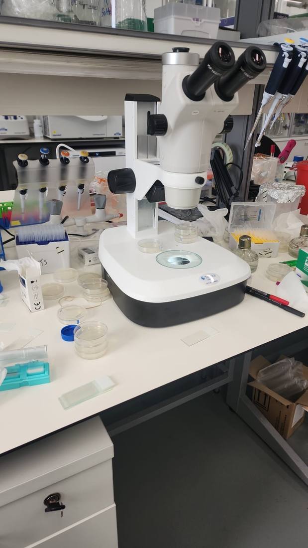 Setting up the Shpilka Lab