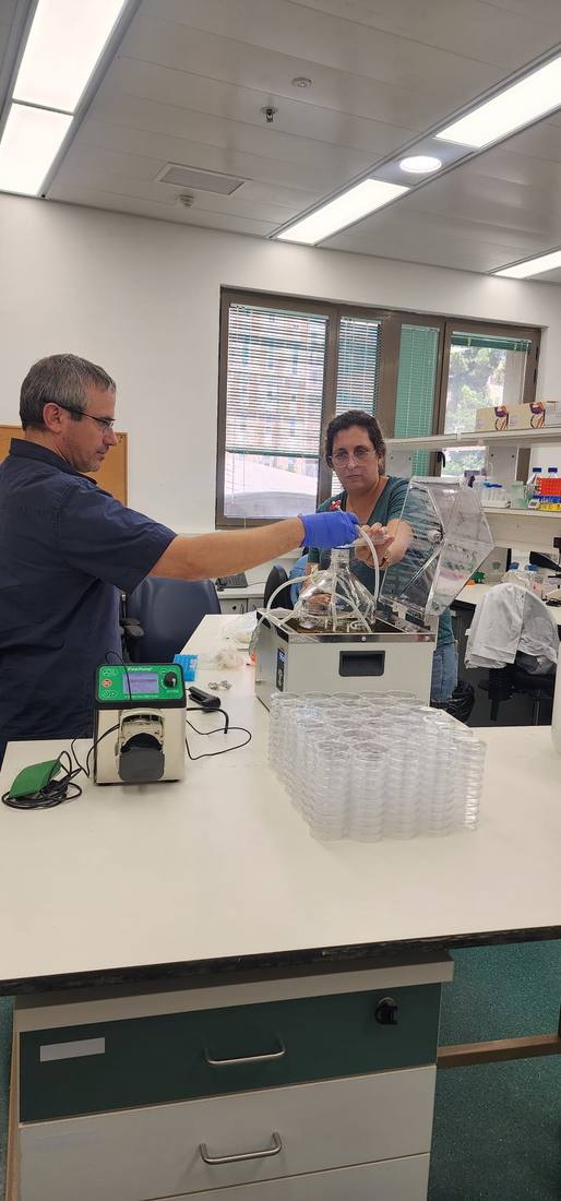 Setting up the Shpilka Lab