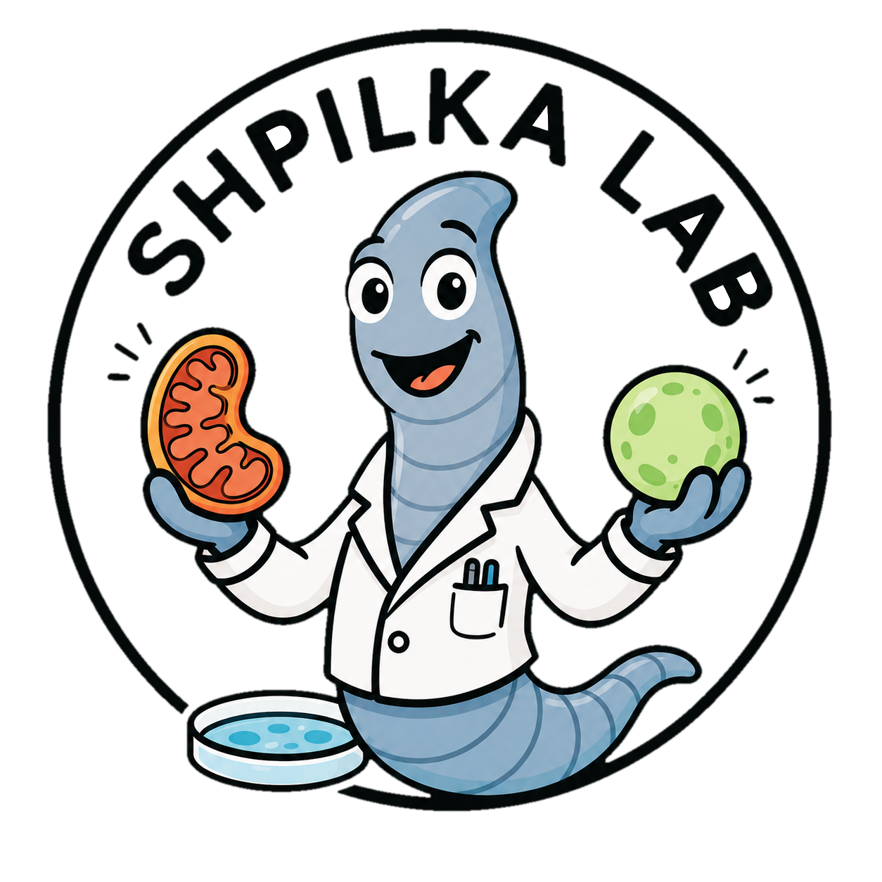 Shpilka Lab logo